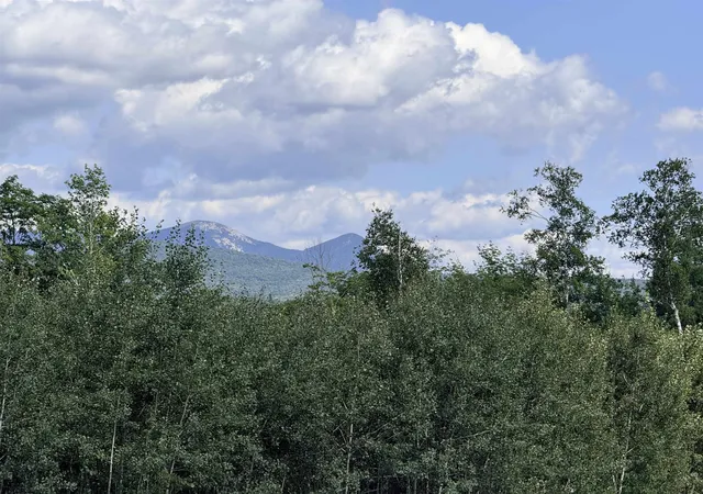 Photo 3 of Land for sale at 00 102 Rte, Maidstone, VT 05905 | MLS# 5105150 | Listing updated on 2026-08-31