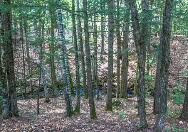 Photo 57 of Single family home for sale at 141 Red Eagle Brook Rd, Conway, NH 03818 | MLS# 5105179 | Listing updated on 2026-09-04