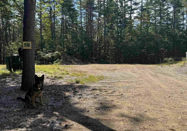 Photo 1 of Land for sale at 58 Wiggin Ln, Chocorua, NH 03817 | MLS# 5105195 | Listing updated on 2026-09-11
