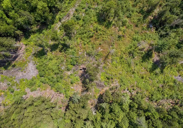 Photo 2 of Land for sale at 0 Handly Rd, Roxbury, VT 05669 | MLS# 5105200 | Listing updated on 2026-08-15
