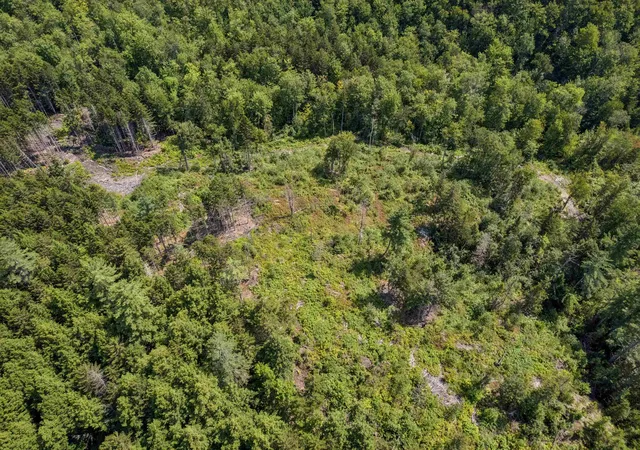 Photo 4 of Land for sale at 0 Handly Rd, Roxbury, VT 05669 | MLS# 5105200 | Listing updated on 2026-10-02