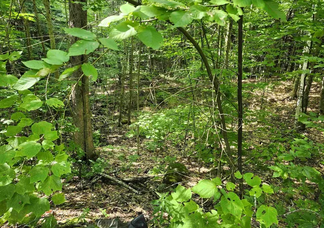 2nd image of 17 1 Durgin Cir, Campton, NH 03223 | MLS# 5105204