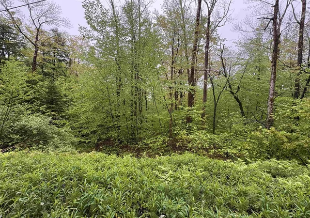 Photo 3 of Land for sale at 0 Bergrucken Ln, Stamford, VT 05352 | MLS# 5105218 | Listing updated on 2026-08-17