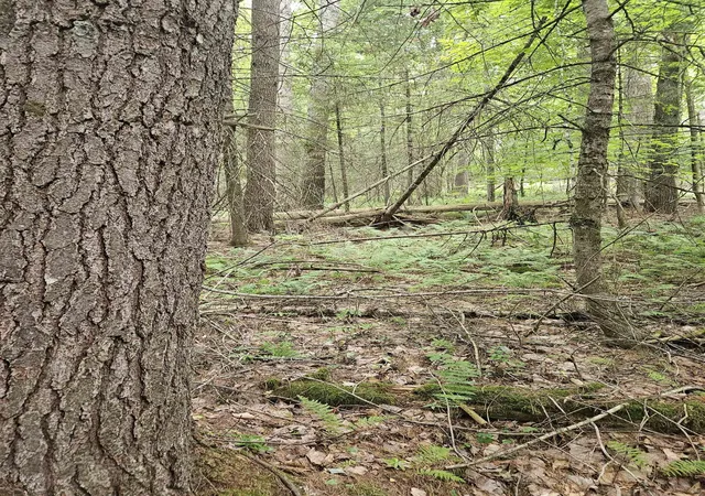 1st image of 00 Straford Dr, Woodsville, NH 03785 | MLS# 5105263