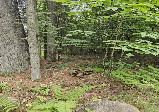 Photo 3 of Land for sale at 00 Straford Dr, Woodsville, NH 03785 | MLS# 5105263 | Listing updated on 2026-08-26