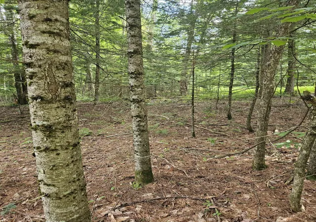 Photo 3 of Land for sale at 00 Straford Dr, Woodsville, NH 03785 | MLS# 5105263 | Listing updated on 2026-08-26
