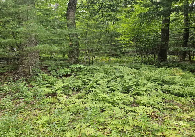 Photo 4 of Land for sale at 00 Straford Dr, Woodsville, NH 03785 | MLS# 5105263 | Listing updated on 2026-08-26