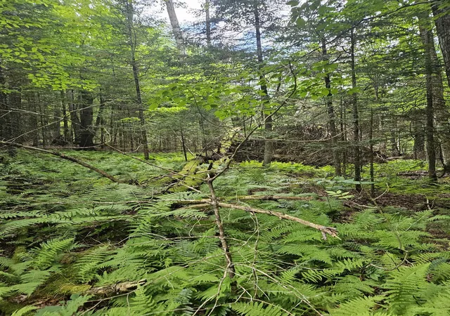 6th image of 00 Straford Dr, Woodsville, NH 03785 | MLS# 5105263