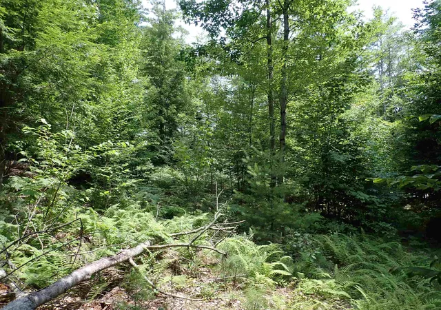Photo 2 of Land for sale at 0 South Hill Rd, Jamaica, VT 05343 | MLS# 5105314 | Listing updated on 2026-08-17
