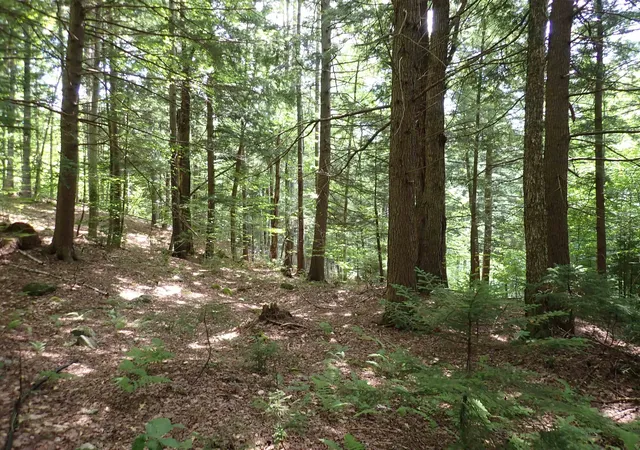 Photo 3 of Land for sale at 0 South Hill Rd, Jamaica, VT 05343 | MLS# 5105314 | Listing updated on 2026-08-17