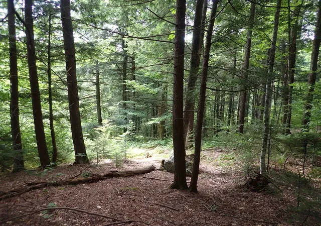 Photo 3 of Land for sale at 0 South Hill Rd, Jamaica, VT 05343 | MLS# 5105314 | Listing updated on 2026-08-17