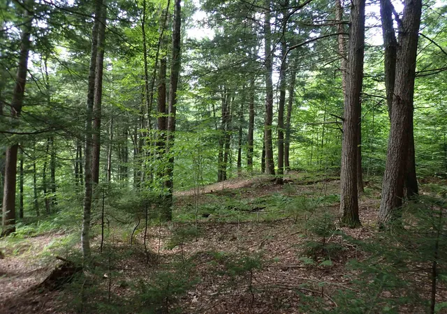 Photo 4 of Land for sale at 0 South Hill Rd, Jamaica, VT 05343 | MLS# 5105314 | Listing updated on 2026-08-17