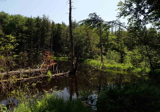 Photo 2 of Land for sale at 0 Schoolhouse Rd, Jamaica, VT 05343 | MLS# 5105324 | Listing updated on 2026-08-17