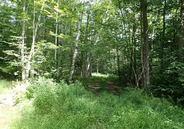 Photo 3 of Land for sale at 0 Schoolhouse Rd, Jamaica, VT 05343 | MLS# 5105324 | Listing updated on 2026-08-17