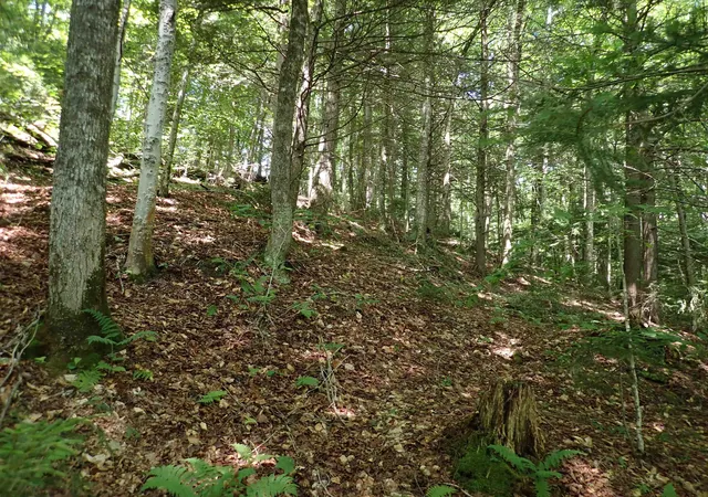 Photo 3 of Land for sale at 0 Schoolhouse Rd, Jamaica, VT 05343 | MLS# 5105324 | Listing updated on 2026-08-17
