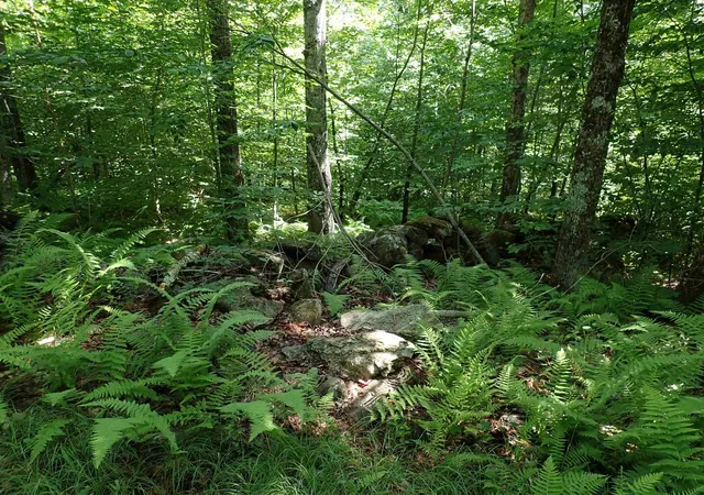 Photo 4 of Land for sale at 0 Schoolhouse Rd, Jamaica, VT 05343 | MLS# 5105324 | Listing updated on 2026-08-17