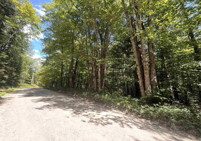 3rd image of 115 Forbes Mountain Rd, Danbury, NH 03230 | MLS# 5105360