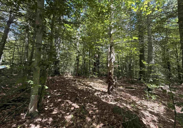 4th image of 115 Forbes Mountain Rd, Danbury, NH 03230 | MLS# 5105360