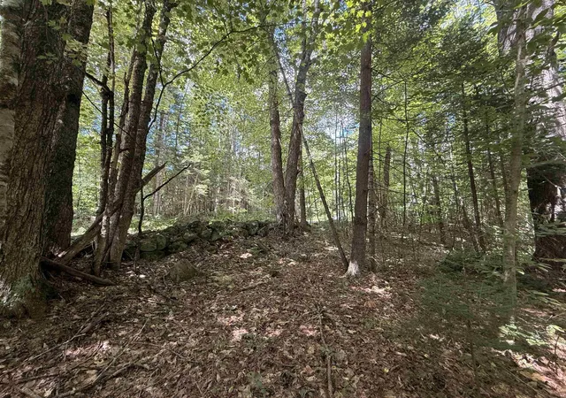 5th image of 115 Forbes Mountain Rd, Danbury, NH 03230 | MLS# 5105360