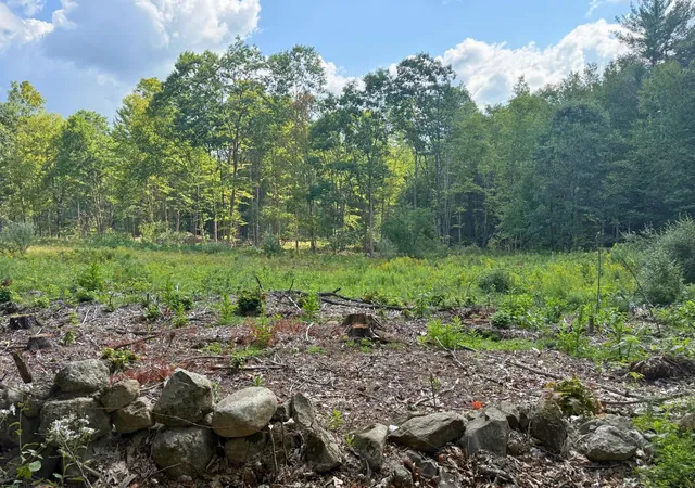 1st image of Lot 9 2 Roxbury Rd, Sanbornton, NH 03269 | MLS# 5105404