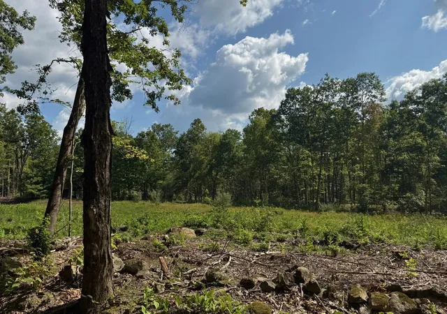 5th image of Lot 9-2 Roxbury Rd, Sanbornton, NH 03269 | MLS# 5105404