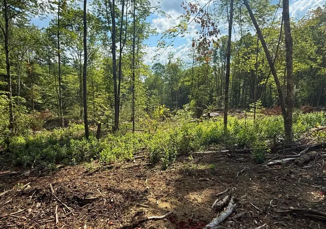 5th image of Lot 9-3 Roxbury Rd, Sanbornton, NH 03269 | MLS# 5105406