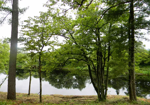 2nd image of 700 Main St, Lancaster, NH 03584 | MLS# 5105441