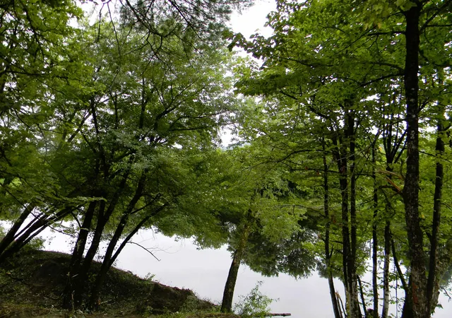 4th image of 700 Main St, Lancaster, NH 03584 | MLS# 5105441