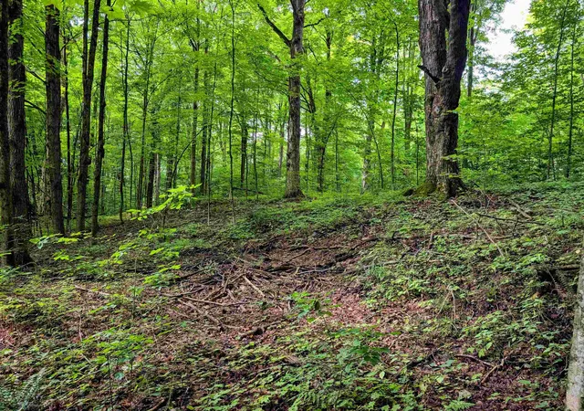 Photo 3 of Land for sale at Lot 2 Winterbottom Rd, St George, VT 05495 | MLS# 5105474 | Listing updated on 2026-08-18
