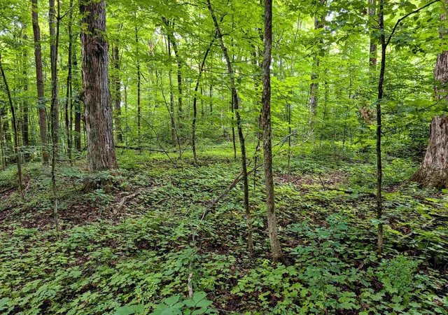 Photo 3 of Land for sale at Lot 2 Winterbottom Rd, St George, VT 05495 | MLS# 5105474 | Listing updated on 2026-08-18