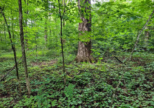 Photo 4 of Land for sale at Lot 2 Winterbottom Rd, St George, VT 05495 | MLS# 5105474 | Listing updated on 2026-08-18