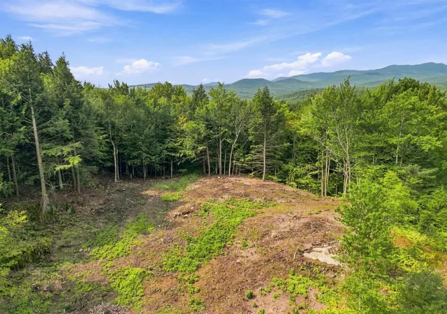 Photo 1 of Land for sale at 00 White Birch Rd, Morrisville, VT 05661 | MLS# 5105551 | Listing updated on 2026-08-19