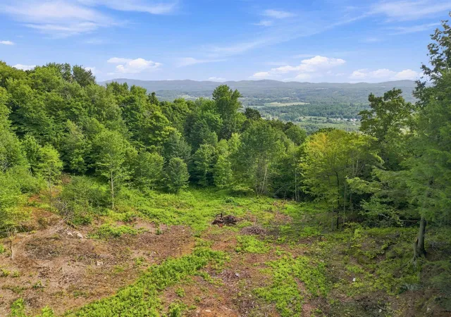 Photo 2 of Land for sale at 00 White Birch Rd, Morrisville, VT 05661 | MLS# 5105551 | Listing updated on 2026-08-19