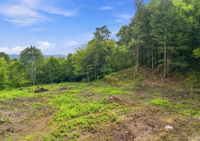 Photo 4 of Land for sale at 00 White Birch Rd, Morrisville, VT 05661 | MLS# 5105551 | Listing updated on 2026-08-19