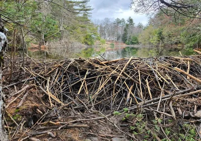 Photo 3 of Land for sale at Map 122 Lot 69 Off Sawyer Lake Rd, Gilmanton, NH 03237 | MLS# 5105590 | Listing updated on 2026-08-25