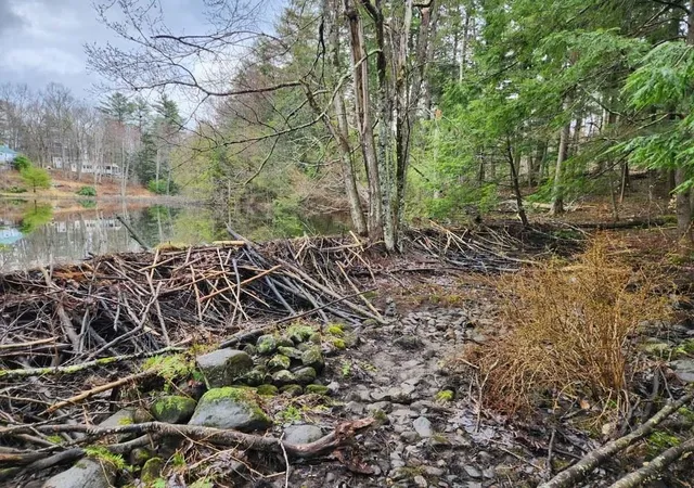 Photo 3 of Land for sale at Map 122 Lot 69 Off Sawyer Lake Rd, Gilmanton, NH 03237 | MLS# 5105590 | Listing updated on 2026-08-25