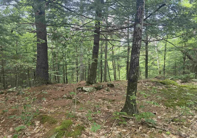 18th image of 37 Shady Ln, Tilton, NH 03276 | MLS# 5105600