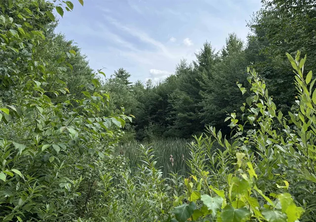 11th image of 00 Parkey Rd, Barnstead, NH 03218 | MLS# 5105625