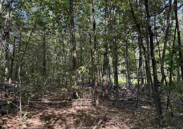 5th image of 00 Parkey Rd, Barnstead, NH 03218 | MLS# 5105625