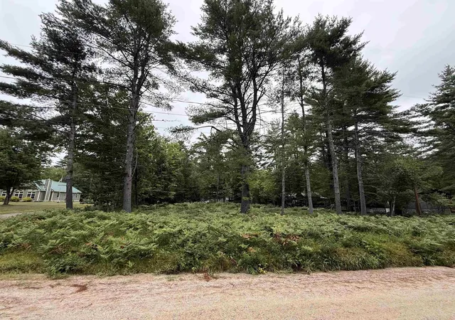 1st image of 00 Birchwood Farm Rd, Freedom, NH 03836 | MLS# 5105739