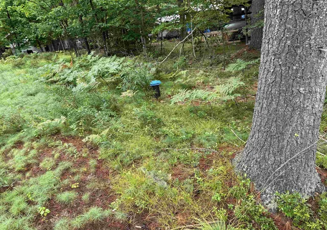 Photo 3 of Land for sale at 00 Birchwood Farm Rd, Freedom, NH 03836 | MLS# 5105739 | Listing updated on 2026-08-21