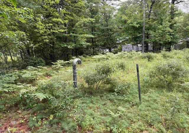 Photo 3 of Land for sale at 00 Birchwood Farm Rd, Freedom, NH 03836 | MLS# 5105739 | Listing updated on 2026-08-21