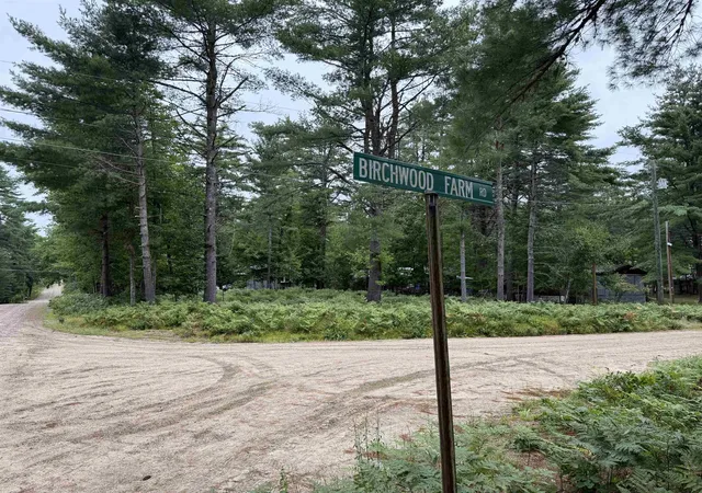 Photo 4 of Land for sale at 00 Birchwood Farm Rd, Freedom, NH 03836 | MLS# 5105739 | Listing updated on 2026-08-21