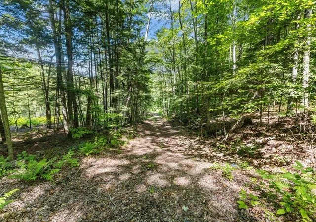 Photo 2 of Land for sale at 1901 Royalton Hill Rd, South Royalton, VT 05068 | MLS# 5105742 | Listing updated on 2026-08-19