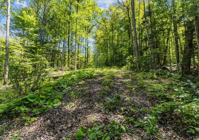 Photo 3 of Land for sale at 1901 Royalton Hill Rd, South Royalton, VT 05068 | MLS# 5105742 | Listing updated on 2026-08-19