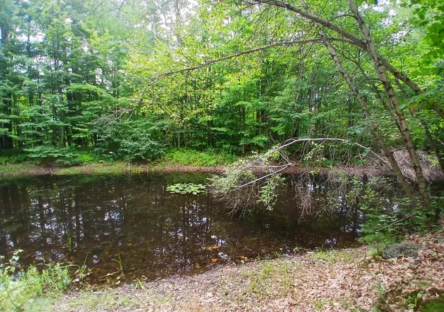 Photo 3 of Land for sale at 34 Wild Meadow Rd, Grafton, NH 03240 | MLS# 5105747 | Listing updated on 2026-08-19