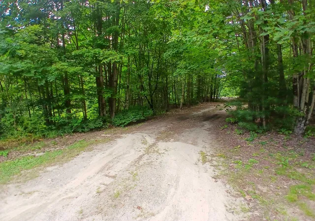Photo 4 of Land for sale at 34 Wild Meadow Rd, Grafton, NH 03240 | MLS# 5105747 | Listing updated on 2026-08-19