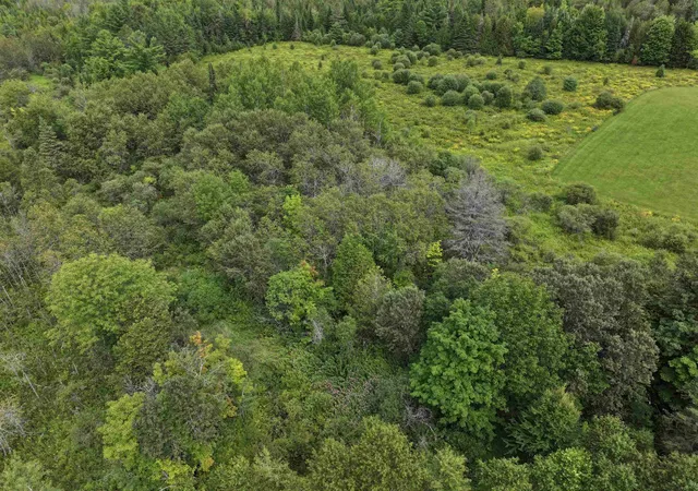 Photo 3 of Land for sale at 50 Lake Shore Rd, Greensboro, VT 05841 | MLS# 5105757 | Listing updated on 2026-09-14