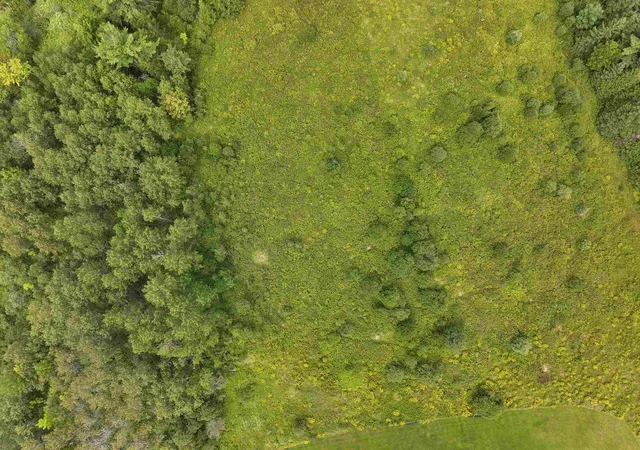 Photo 4 of Land for sale at 50 Lake Shore Rd, Greensboro, VT 05841 | MLS# 5105757 | Listing updated on 2026-09-23