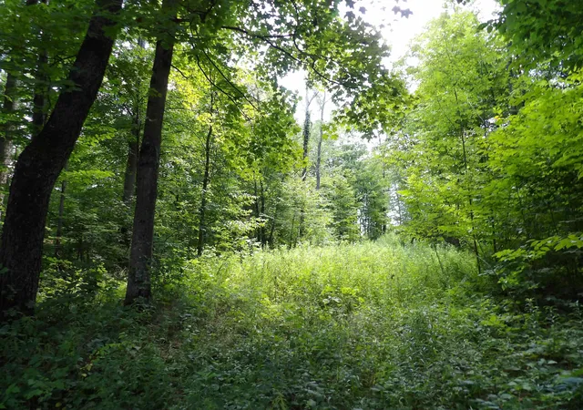 Photo 1 of Land for sale at 20 Center St, Proctor, VT 05765 | MLS# 5105812 | Listing updated on 2026-08-20